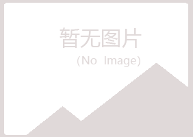 宁陵县山柏化学有限公司